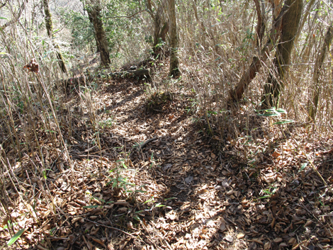 20161206hike (297)